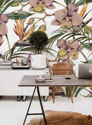 Produktbild von Coloray Fototapete 312x219 cm Latextapete Magicstick - Botanische Blätter exotisch