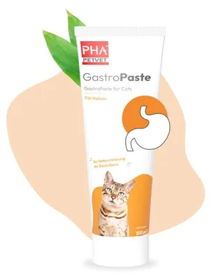 Produktbild von PHA GastroPaste für Katzen - 100 ml