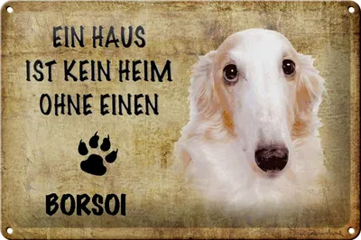 Produktbild von Blechschild Spruch 30x20cm Borsoi Hund ohne kein Heim
