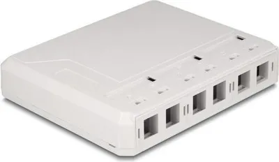 Image de Delock Keystone Boîtier vide 6 ports pour fibre optique et réseau blanc