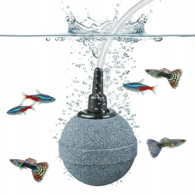 Immagine prodotto di Ossigenatore Acquario con Pietra Diffusore d'Aria 5 cm per Tubi 4/6 mm, aeratore per acquario e vasca