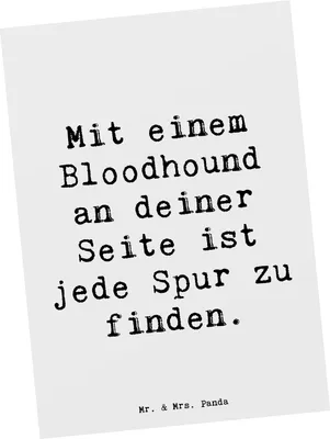 Produktbild von Mr. & Mrs. Panda Postkarte Spruch Bloodhound Spur - Weiß - Geschenk, bildkarte, treuer Begleiter, Hundeerziehung, Grußkarte, Ansichtskarte, Bewegung, Ansichtskarten