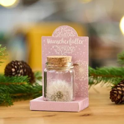 Produktbild von Wunscherfüller Pusteblume im Glas Kreatives Geschenk und Geldgeschenk dekorativ