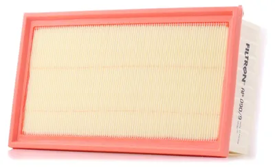 Immagine prodotto di Luftfilter FILTRON AP 090/9