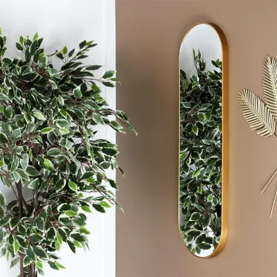 Productafbeelding van Wandspiegel 100x30 cm, ovaal, gouden rand, voor hal