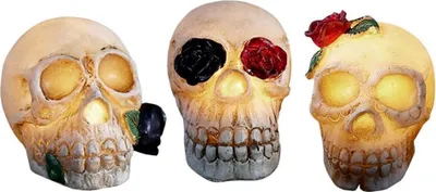 Image de 3 lanternes en forme de crâne, décoration - Halloween