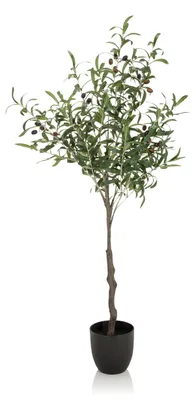Obrázek produktu pro hjh OFFICE Umělá rostlina OLIVE Umělá rostlina Olive Výška 120,0 cm Dekorace