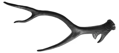 Produktbild von Geweih Tischdeko Hirschgeweihmatt schwarz 63x27x9cm aus Polyresin