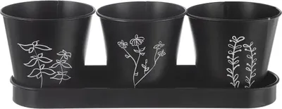 Image de ORION Noir Pot à herbes Ø 11 cm + sous-verre, métal ORION 310628