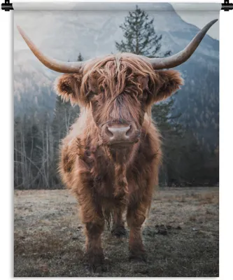 Produktbild von MuchoWow® Wandteppich Wandbehang Schottisches Hochlandrind - Tiere - Porträt 90x120 cm Tapisserie Dekoration Wandtuch - Wanddeko