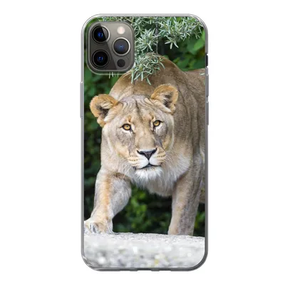 Produktbild von MuchoWow® Handyhülle Schutzhülle Hülle für iPhone 12 Pro Max Löwinnen - Wilde Tiere - Jagd Silikon Softcase Handy Hülle - Hartschale