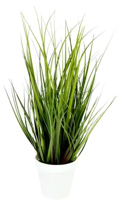 Produktbild von Künstlicher Grasbusch im Topf, Kunstpflanze, Ziergras, Grün, 43x20x20cm