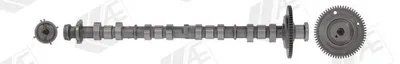 Produktbild von AE CAM1036 Nockenwelle Einlass für MAZDA CX-5 (KE, GH) 6 Kombi (GJ, GL) 3 Schrägheck (BM, BN) CX-5 (KF) 6 Limousine (GJ, GL)