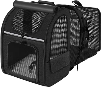 Hunde-Tragetasche, Hauptbild