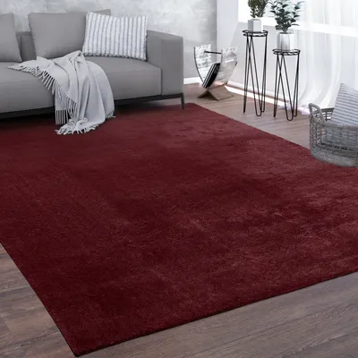A living room scene with a red rug, a gray sofa, and decorative items.