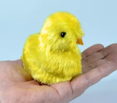 Produktbild von Piependes Küken