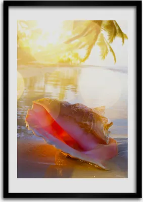 Produktbild von Bild - Bilderrahmen - 50 cm x 70 cm - MDF - Rahmen - Wandkunst Muschel am Strand