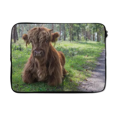 Produktbild von MuchoWow® Laptop Hülle 13 Zoll Schottischer Highlander - Kröte - Tiere Laptoptasche - Laptophülle - Sleeve - Rundumschutz
