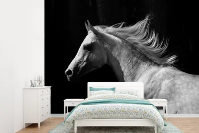 Produktbild von MuchoWow® Fototapete für Wohnzimmer oder Schlafzimmer Wandtapete Vinyl Motivtapete Pferde - Tiere - Porträt - 305x220 cm - Wandbilder