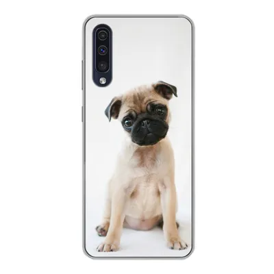 Produktbild von MuchoWow® Handyhülle Schutzhülle Hülle für Samsung Galaxy A30s Hund - Haustiere - Porträt Silikon Softcase Handy Hülle - Karteninhaber