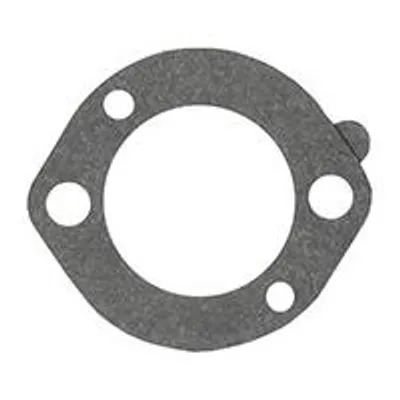 Produktbild von Kraftstoff- / Luftfilter für Briggs & Stratton Motor, passend für Serien 110402, 120202, 120212, 120232, 120252, 12029