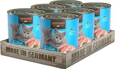 A six-pack of LEONARDO Kitten cat food cans in a wooden crate.