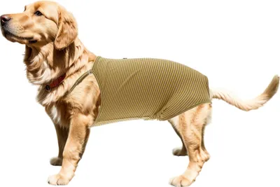 Produktbild von Hundewindeln, physiologische Hosen mit verstellbarem Riemen, Overalls, Hosenträger, waschbar, wiederverwendbar, für kleine, mittelgroße Hunde und Katzen Gelb XL