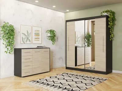 Produktbild von Schwebetürenschrank Kleiderschrank Schrank zweitürig 204 cm Kommode 135 cm und LED Beleuchtung Schwarz/Sonoma  Torino Frida 01