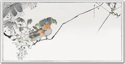 Produktbild von Coloray Küchenrückwand 120x60 Spritzschutz aus Glas - Knoten Tiere Vogel