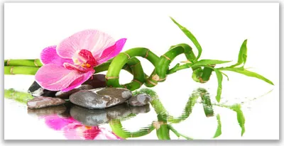 Produktbild von Glasbilder 140x70 Wandbild Druck auf Glas Bambusrohr Blume Steine Kunst
