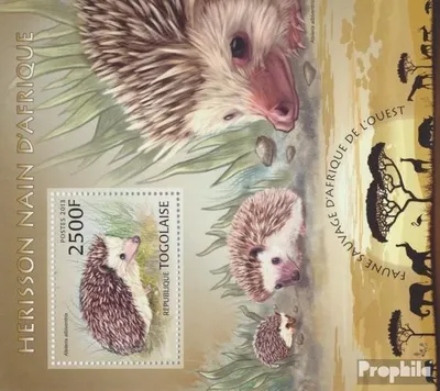Produktbild von Briefmarken Togo 2013 Mi Block 783 (kompl. Ausgabe) postfrisch Zwergigel (Atelerix albiventris)