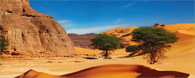 Produktbild von Wallario Poster - In der Wüste Sahara, Kunstdruck Größe: 50 x 125 cm