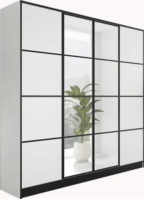 A white wardrobe with black frame doors, reflecting a plant in a pot.