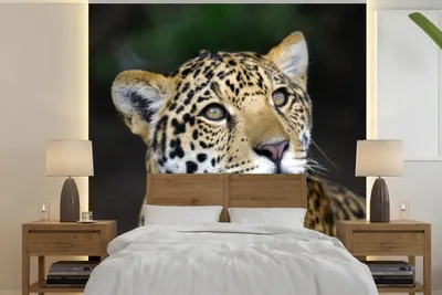 Produktbild von MuchoWow® Fototapete für Wohnzimmer oder Schlafzimmer Wandtapete Vinyl Motivtapete Leopard - Kopf - Wald - 240x240 cm - Schlafzimmer-Tapete