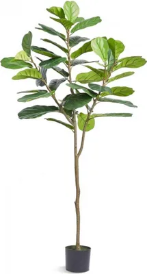 Zdjęcie produktu dla Sztuczna roślina Fiddle Leaf Fig - 185 cm - Roślina dekoracyjna - Wodoodporna i bezwonna - Do domu lub biura