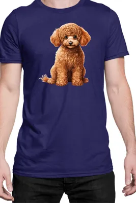Obrázok produktu pre Mužské Tričko Dogs Breeds Poodle Dog Breed 006, Man L / Tmavomodrá