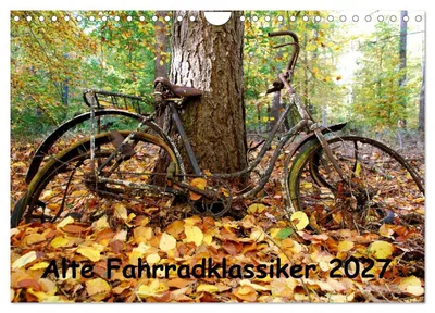 Produktbild von Alte Fahrradklassiker 2027 (Wandkalender 2027 DIN A4 quer), CALVENDO Monatskalender