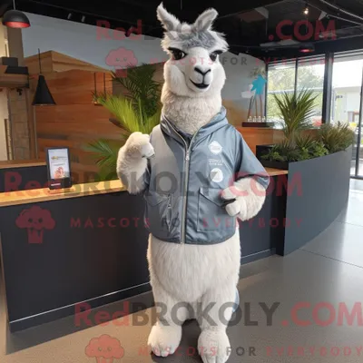 Produktbild von Graues REDBROKOLY Lama-Maskottchenkostüm mit Windjacke und Manschettenknöpfen
