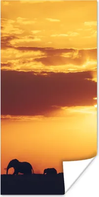 Produktbild von MuchoWow® Poster Elefantenherde bei Sonnenuntergang 20x40 cm - Plakat - Foto