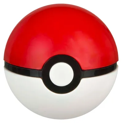 Image de Puntenslijper Pokemon