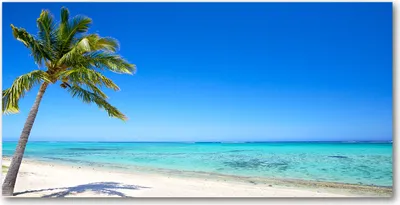 Produktbild von Tulup® Leinwandbild - 140x70 cm - Wandkunst - Drucke auf Leinwand - Leinwanddruck  - Landschaften - Blau - Tropischer Strand