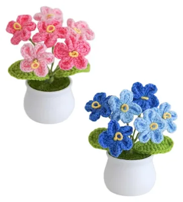 Image de Fleurs en pot, crochetées à la main