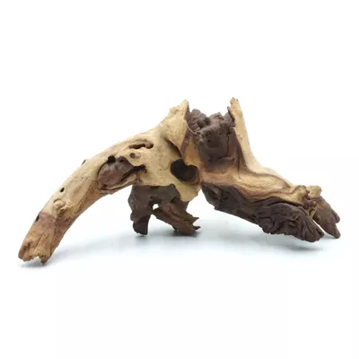 Image de L'écorce naturelle de Mopani-Wurzel - pour tous les papages