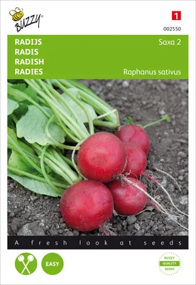Artikelbild 2 von 'Radies Saxa 2' aus der Kategorie Radieschensamen