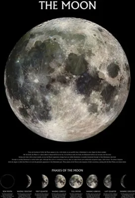 Immagine prodotto di Spazio - L'Universo - La Luna - Poster stampato - Dimensioni 61x91,5 cm senza articoli aggiuntivi