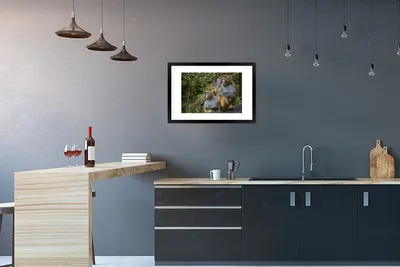 Produktbild von MuchoWow® MuchoWow® Gerahmtes Poster Affen - Steine - Wald 60x40 cm - Poster mit zchwarzem Bilderrahmen - Schlafzimmer - Plakat in Rahmen - Drucken
