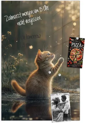 Produktbild von Magnettafel 60x90cm Pinnwand Whiteboard beschreibbar - Katze mit Marienkäfer