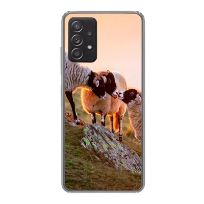 Produktbild von MuchoWow® Handyhülle Schutzhülle Hülle für Samsung Galaxy A33 5G Schafe - Tiere - Sonnenuntergang Silikon Softcase Handy Hülle - Kartenhalter
