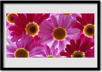 Produktbild von Bild 100x70 MDF-Rahmen Wandkunst Flowers On The Wall