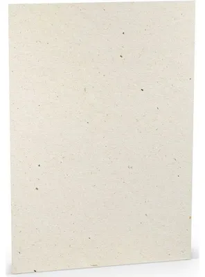 Produktbild von Briefpapier A4 100g/qm Terra Vanilla